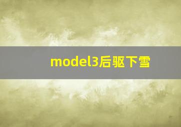 model3后驱下雪