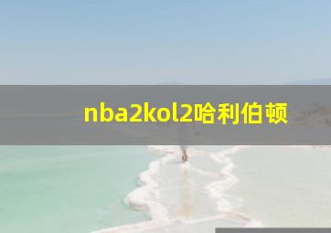 nba2kol2哈利伯顿