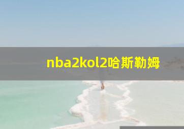 nba2kol2哈斯勒姆