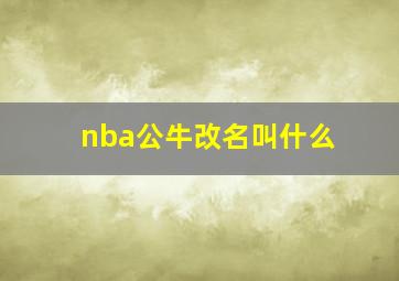 nba公牛改名叫什么