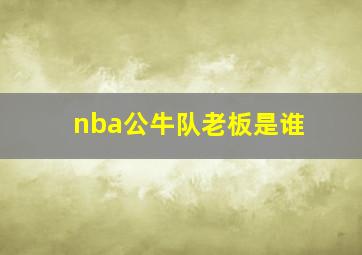 nba公牛队老板是谁