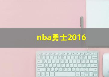 nba勇士2016