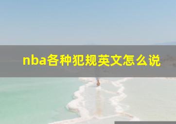 nba各种犯规英文怎么说