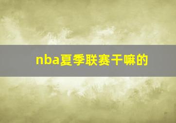 nba夏季联赛干嘛的