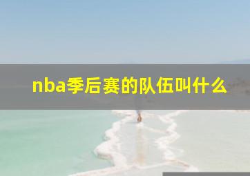 nba季后赛的队伍叫什么