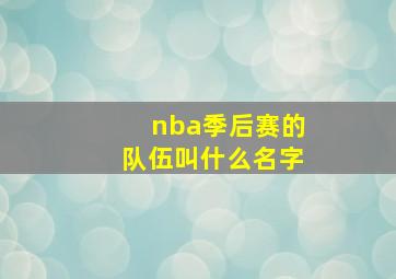 nba季后赛的队伍叫什么名字