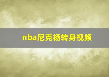 nba尼克杨转身视频