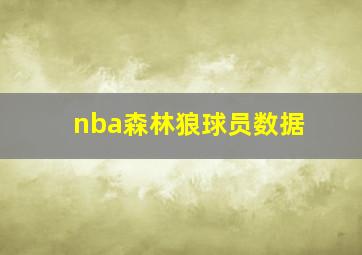 nba森林狼球员数据