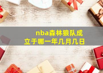 nba森林狼队成立于哪一年几月几日