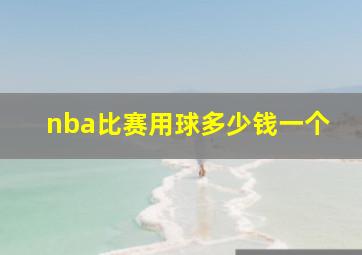 nba比赛用球多少钱一个