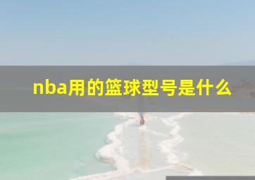 nba用的篮球型号是什么