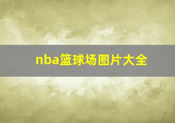 nba篮球场图片大全