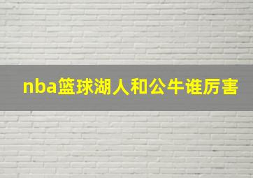 nba篮球湖人和公牛谁厉害