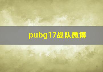 pubg17战队微博