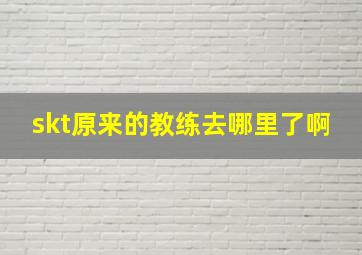 skt原来的教练去哪里了啊