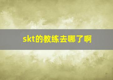 skt的教练去哪了啊