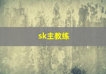 sk主教练