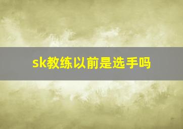 sk教练以前是选手吗