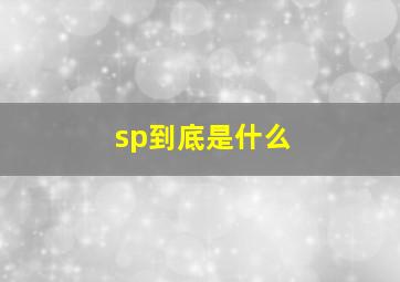 sp到底是什么