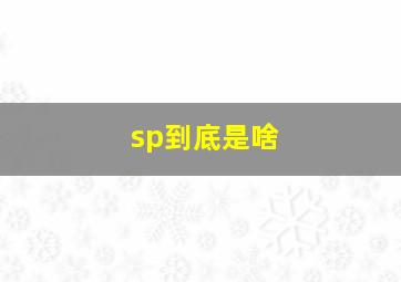 sp到底是啥