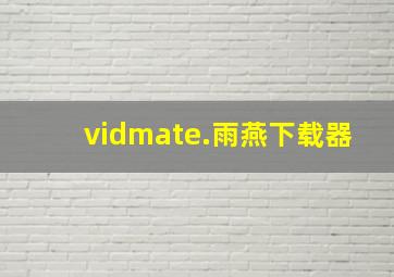 vidmate.雨燕下载器