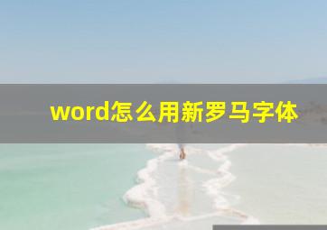 word怎么用新罗马字体