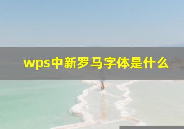 wps中新罗马字体是什么