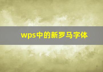 wps中的新罗马字体