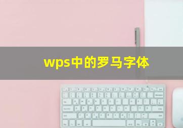 wps中的罗马字体