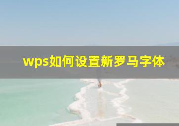 wps如何设置新罗马字体