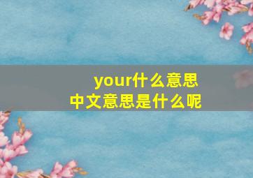 your什么意思中文意思是什么呢