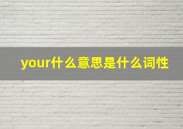 your什么意思是什么词性