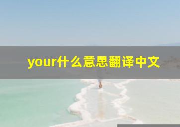 your什么意思翻译中文