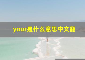 your是什么意思中文翻