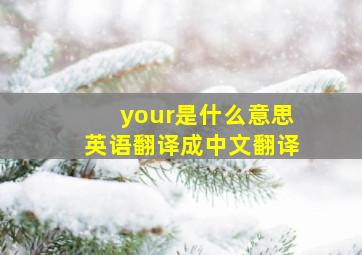 your是什么意思英语翻译成中文翻译