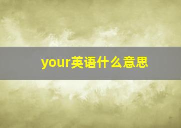 your英语什么意思