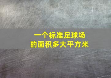 一个标准足球场的面积多大平方米