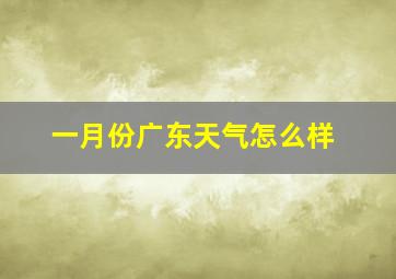 一月份广东天气怎么样