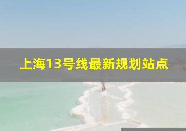 上海13号线最新规划站点