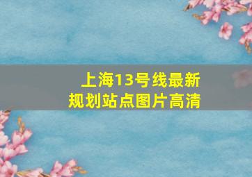 上海13号线最新规划站点图片高清