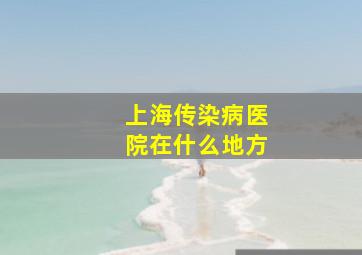 上海传染病医院在什么地方