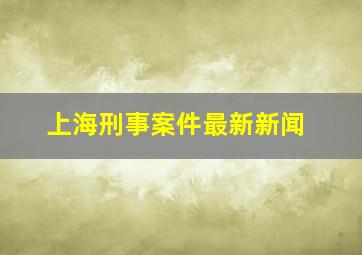 上海刑事案件最新新闻