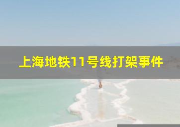 上海地铁11号线打架事件