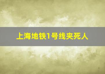 上海地铁1号线夹死人