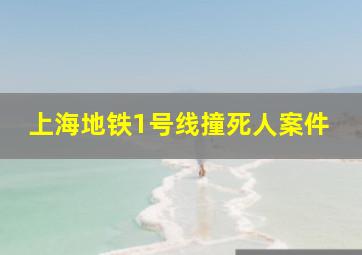 上海地铁1号线撞死人案件