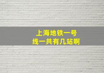 上海地铁一号线一共有几站啊