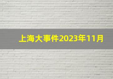 上海大事件2023年11月