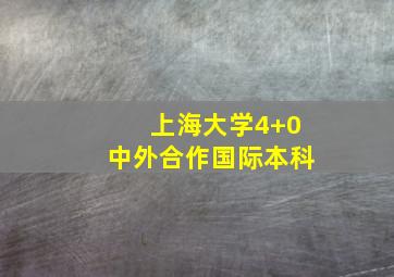 上海大学4+0中外合作国际本科