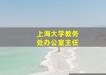 上海大学教务处办公室主任