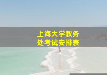 上海大学教务处考试安排表